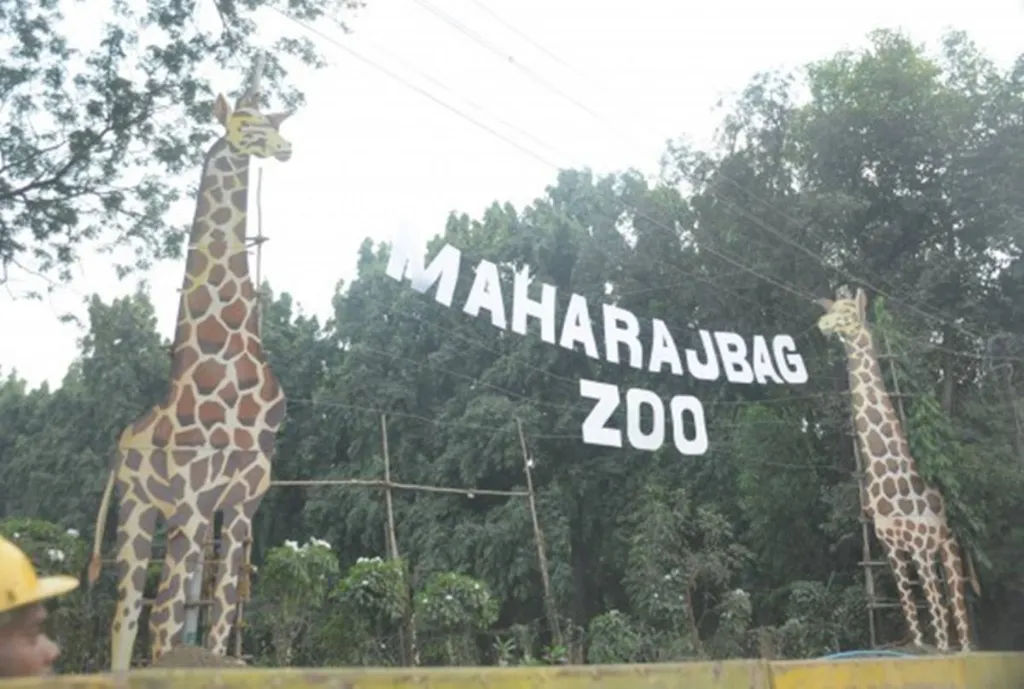 Maharajbagh Zoo